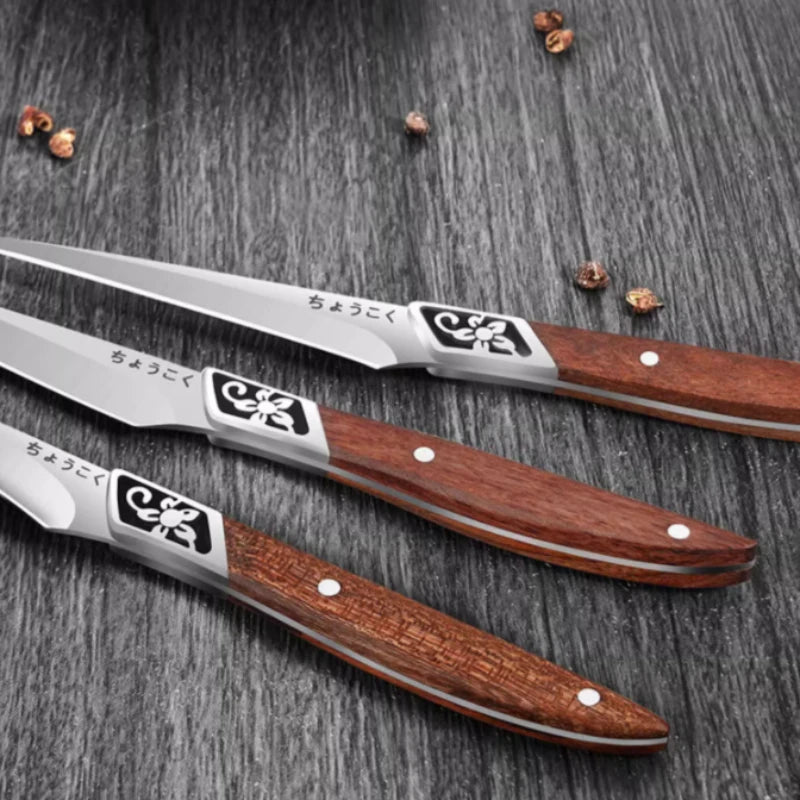 XTL Stainless steel carving knife, chef fruit carving tool set, food and vegetable small carving knife